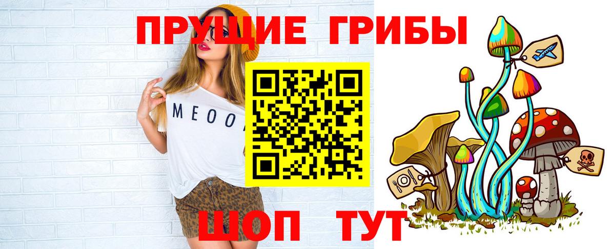 Псилоцибиновые грибы Psilocybe  Острогожск  Галлюциногенные грибы Psilocybine cubensis 