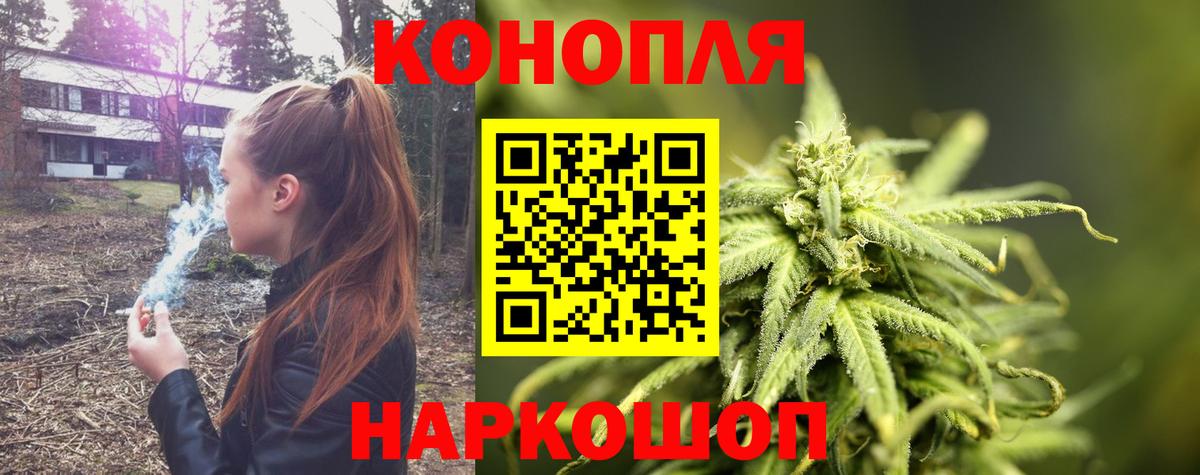 Конопля планчик  МАРИХУАНА White Widow  Острогожск  Шишки марихуана марихуана 